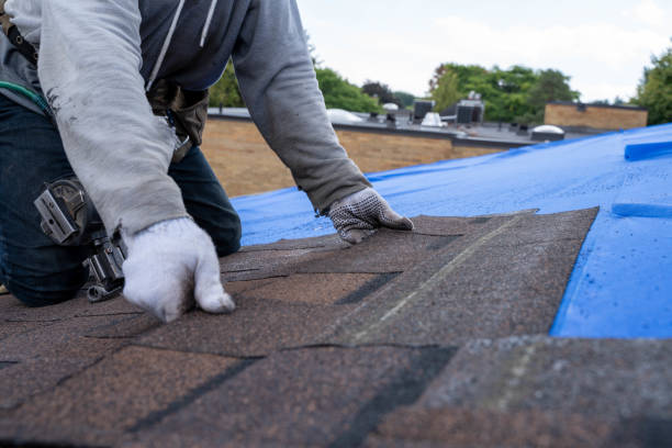 Best Roof Repair Services  in St Georges, DE