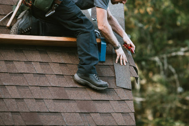 Best Roof Gutter Cleaning  in St Georges, DE